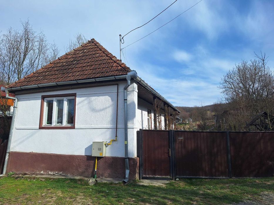 Vanzare casa Petelea 79 m² - 1