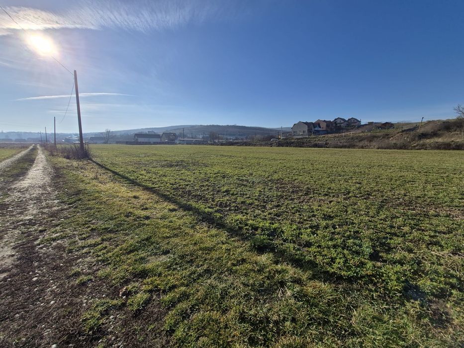 Vand teren intravilan drept calea Voinicenilor 6800mp - 1