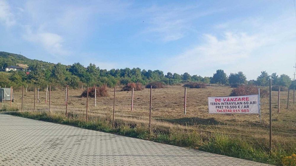 Teren SUBCETATE Bistrita 60 ari - 1